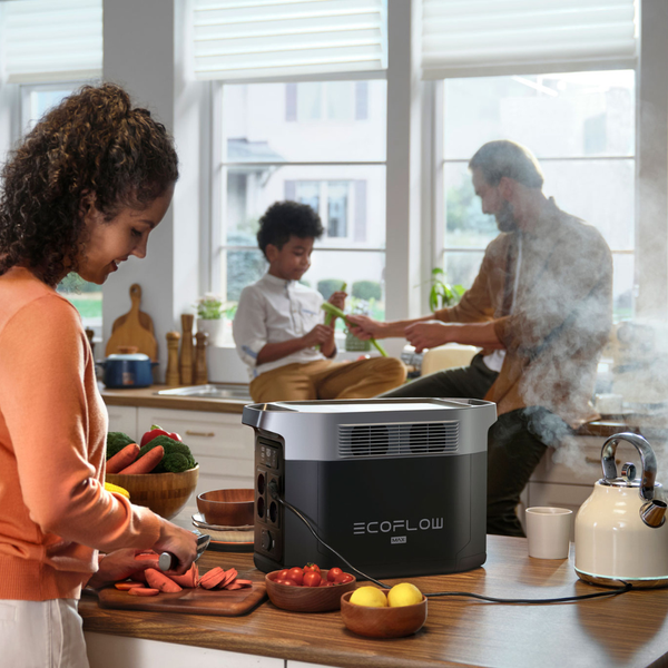Зарядна станція EcoFlow DELTA 2 (1024 Вт&middot;год) ZMR330-EU фото