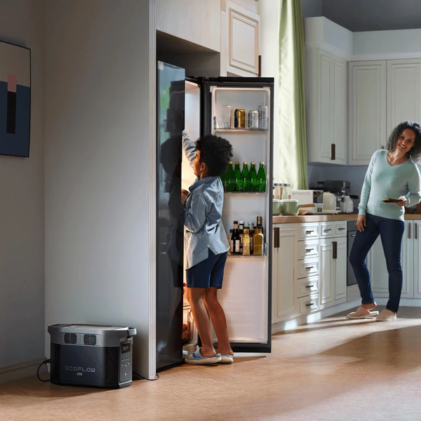 Зарядна станція EcoFlow DELTA 2 Max (2048 Вт&middot;год) EFDELTA2Max-EU фото
